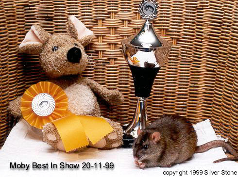 Moby: Met haar mooie prijzen!