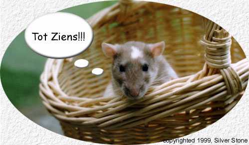 Tot Ziens!!!